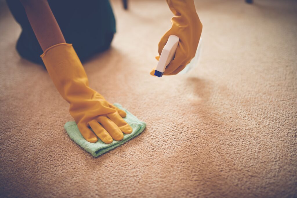 Carpet Cleaning: Bringing New Life to Your Floors